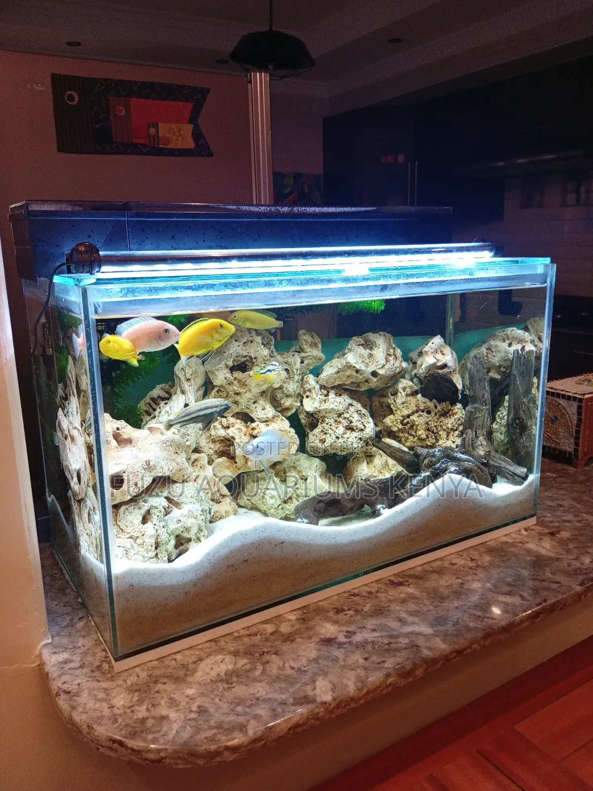 Classic Coral Aquarium