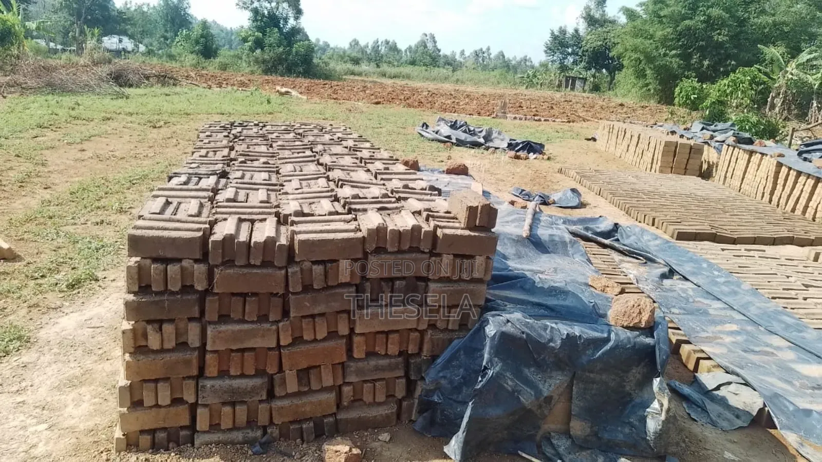 Interlocking Solid Soil Blocks