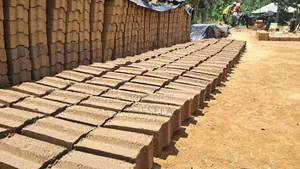 Interlocking Solid Soil Blocks