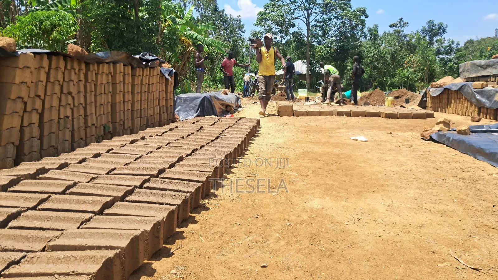 Interlocking Solid Soil Blocks