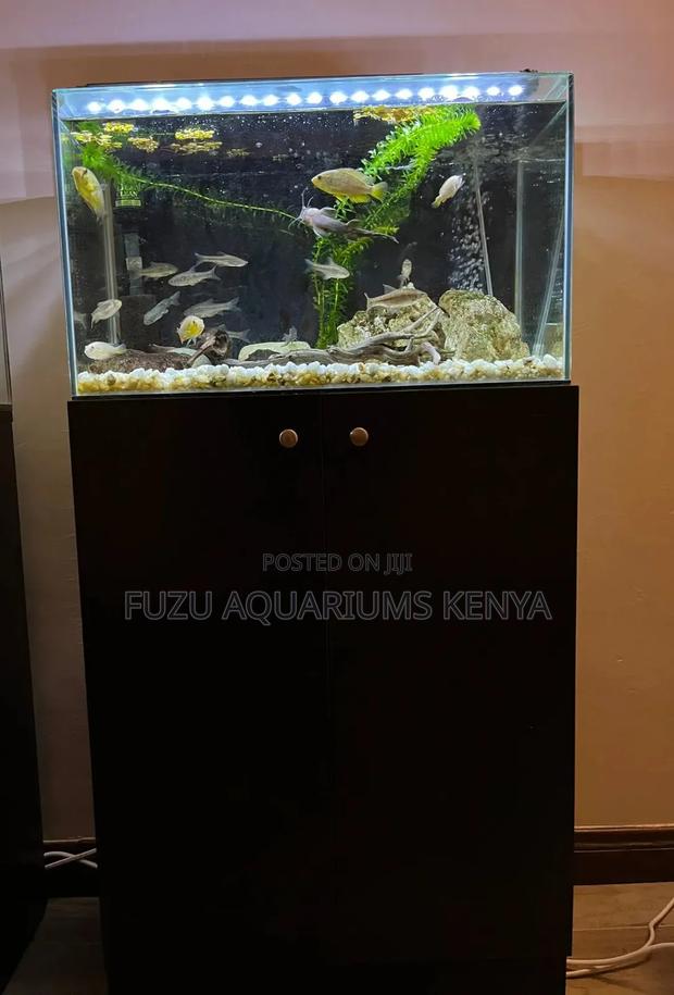 Super Aquarium With Its Stand - main view