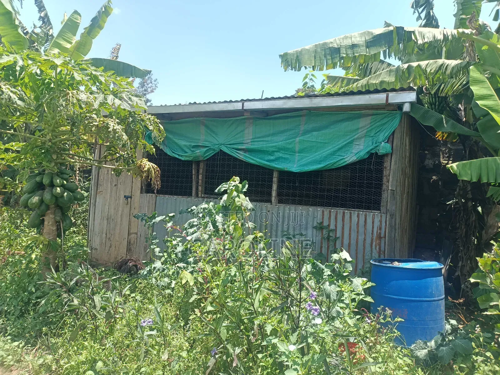 A Developed Farm Plot for Sale in Wanyororo B
