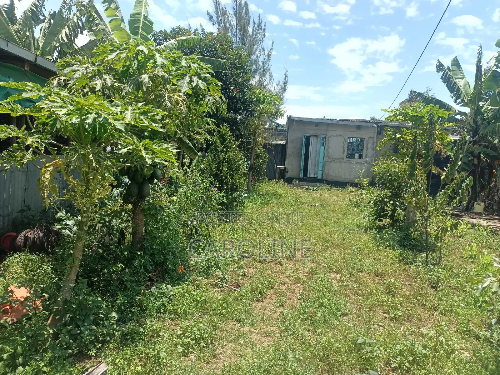 A Developed Farm Plot for Sale in Wanyororo B