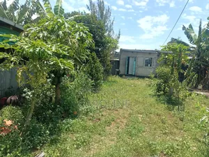 A Developed Farm Plot for Sale in Wanyororo B