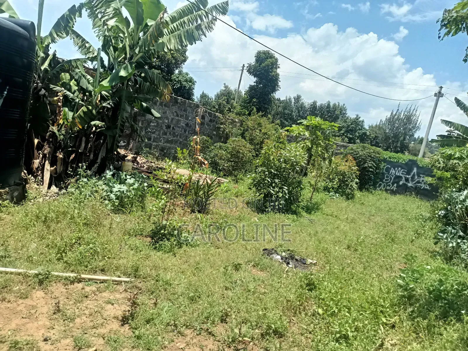 A Developed Farm Plot for Sale in Wanyororo B