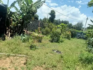 A Developed Farm Plot for Sale in Wanyororo B