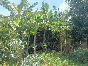 A Developed Farm Plot for Sale in Wanyororo B