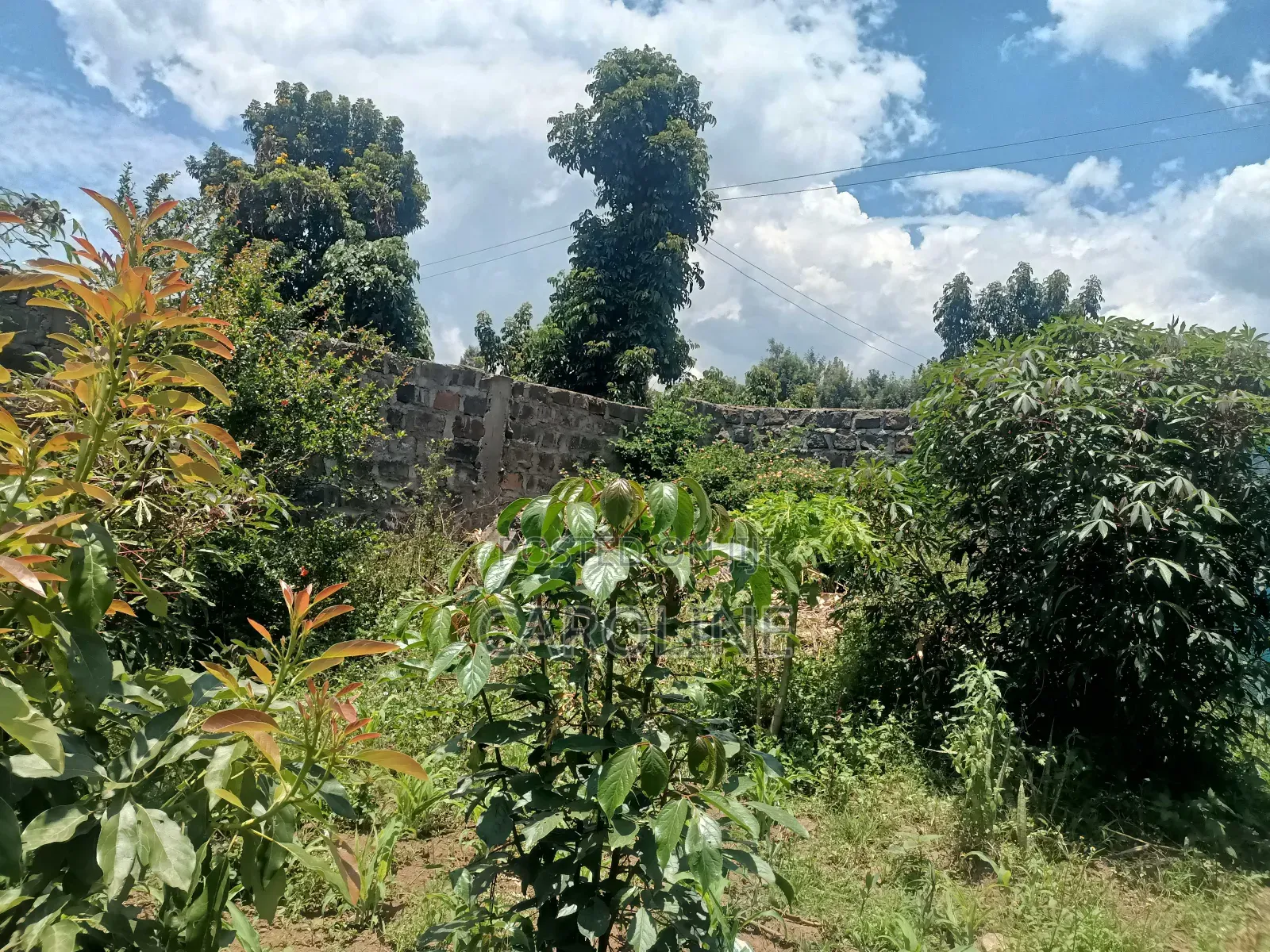 A Developed Farm Plot for Sale in Wanyororo B