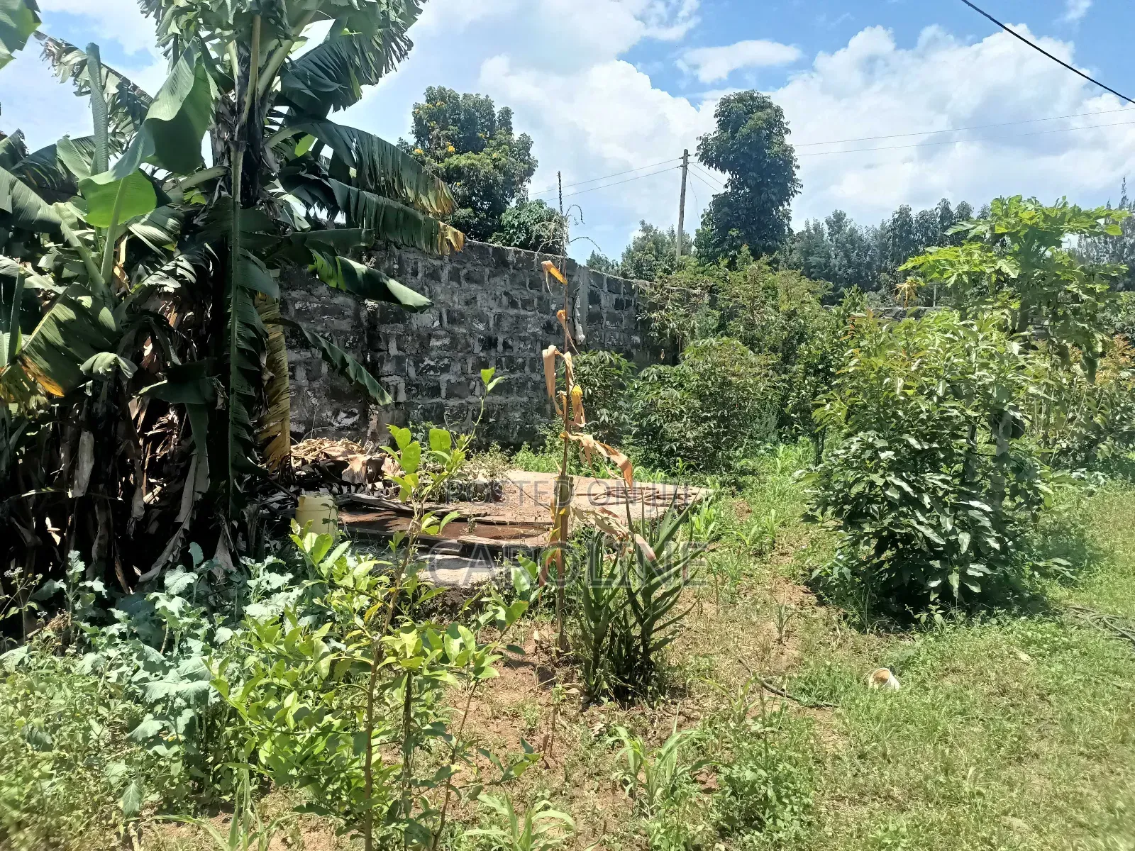 A Developed Farm Plot for Sale in Wanyororo B