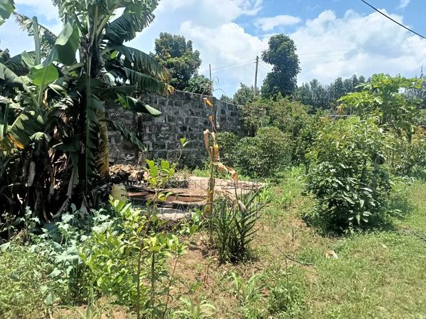 A Developed Farm Plot for Sale in Wanyororo B - thumbnail 9