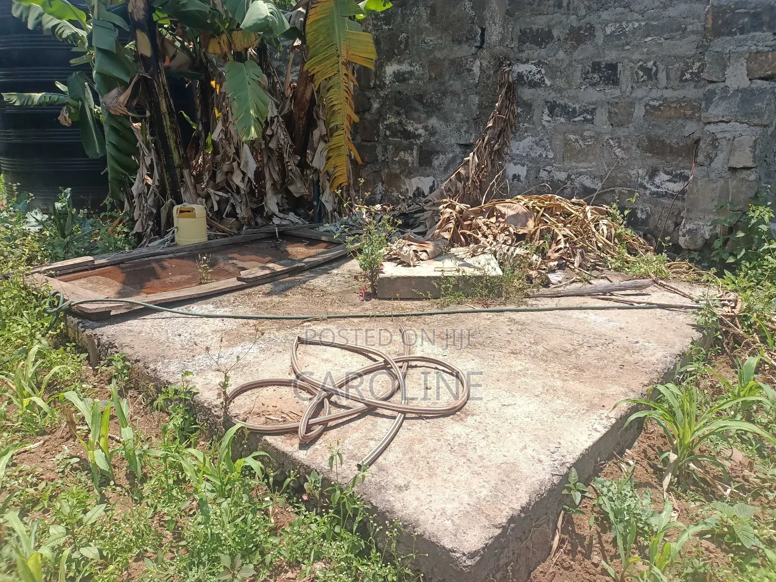 A Developed Farm Plot for Sale in Wanyororo B
