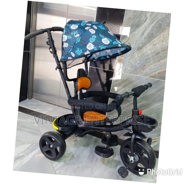 Push Tricycle With Canopy - main view