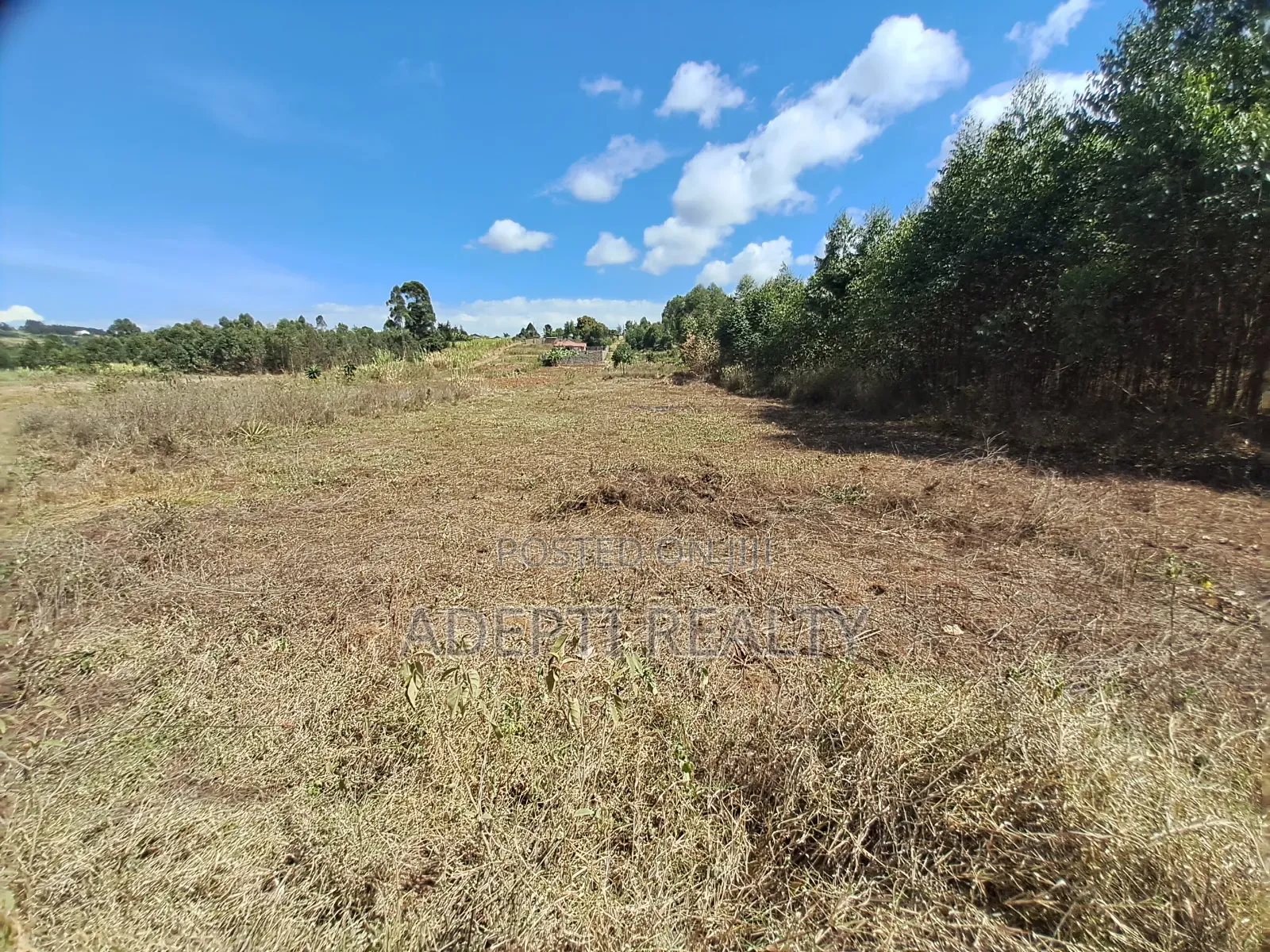 50x100 Kikuyu Thigio Plot on Sale