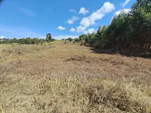 50x100 Kikuyu Thigio Plot on Sale