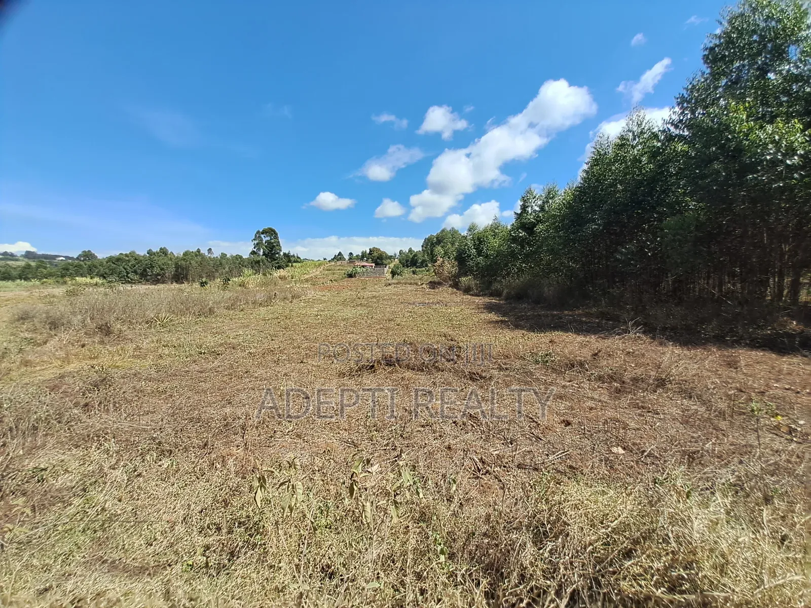 50x100 Kikuyu Thigio Plot on Sale