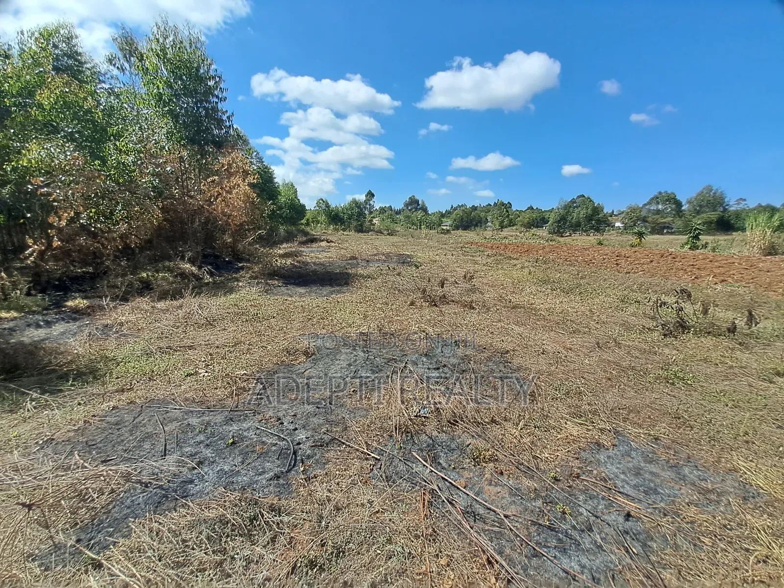 50x100 Kikuyu Thigio Plot on Sale