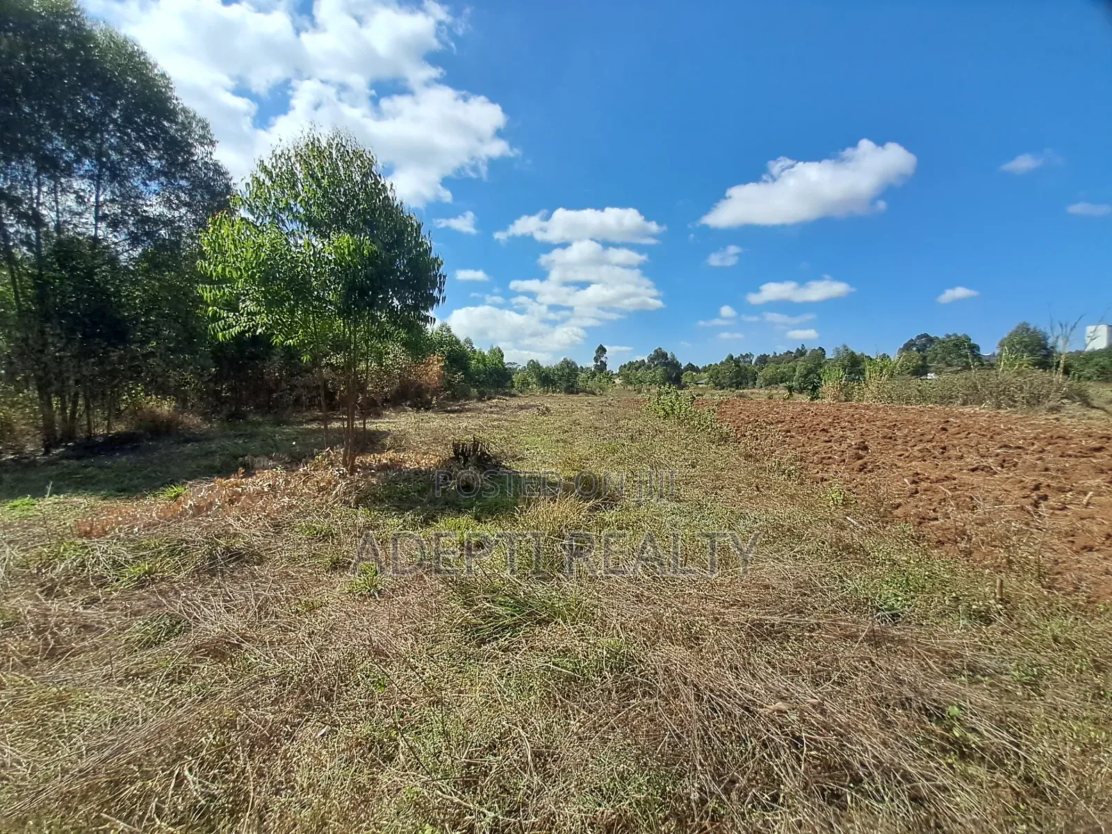 50x100 Kikuyu Thigio Plot on Sale