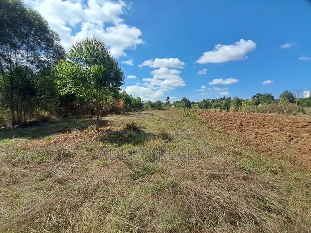 50X100 Kikuyu Thigio Plot on Sale - thumbnail 7