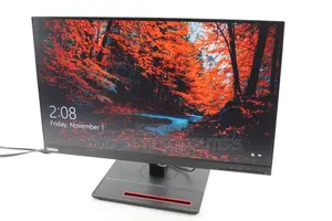 New Lenovo Thinkvision P24h-30 24" Qhd Lcd Monitor