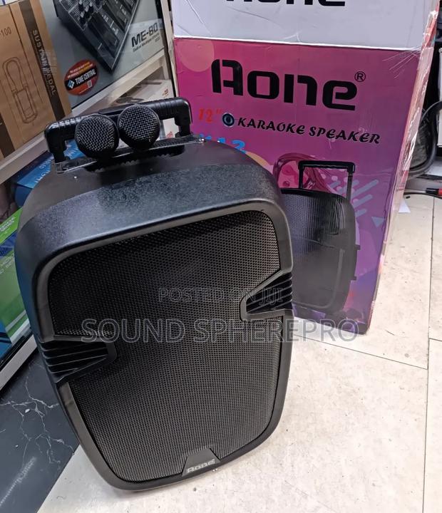 Aone 12 Inch Powered Speaker - main view