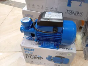 0.5hp USK Water Pump