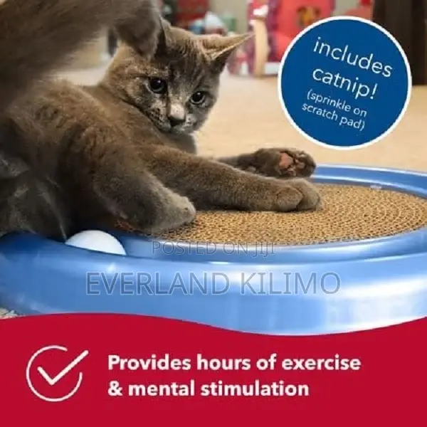 Cat Scratching Pad - Claw Grooming, a Ball Bag of Catnip,