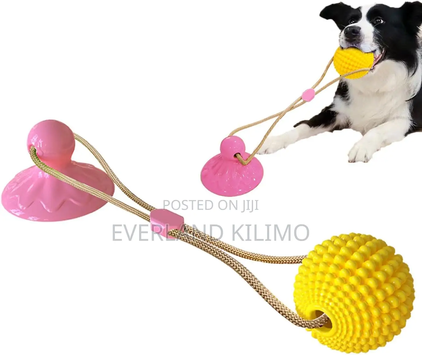 Rope Ball Suction Cup