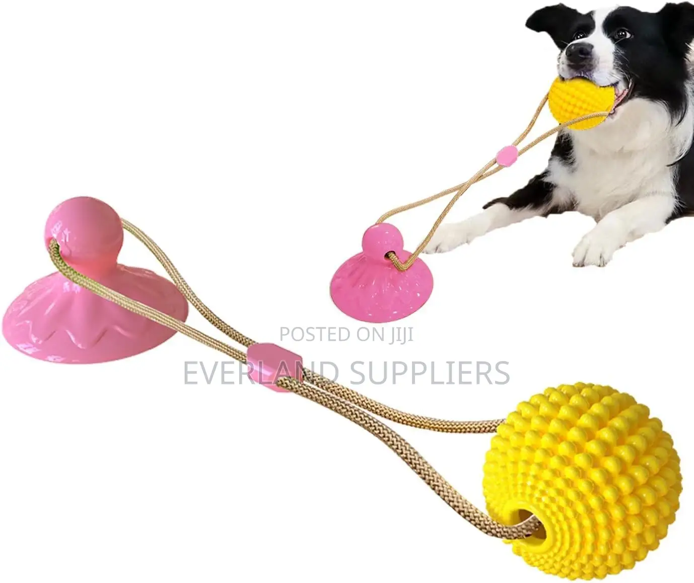 Rope Ball Suction Cup