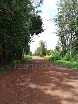Thindigua Prime 2.25 Acres