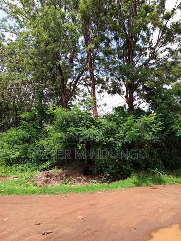 Thindigua Prime 2.25 Acres - thumbnail 5