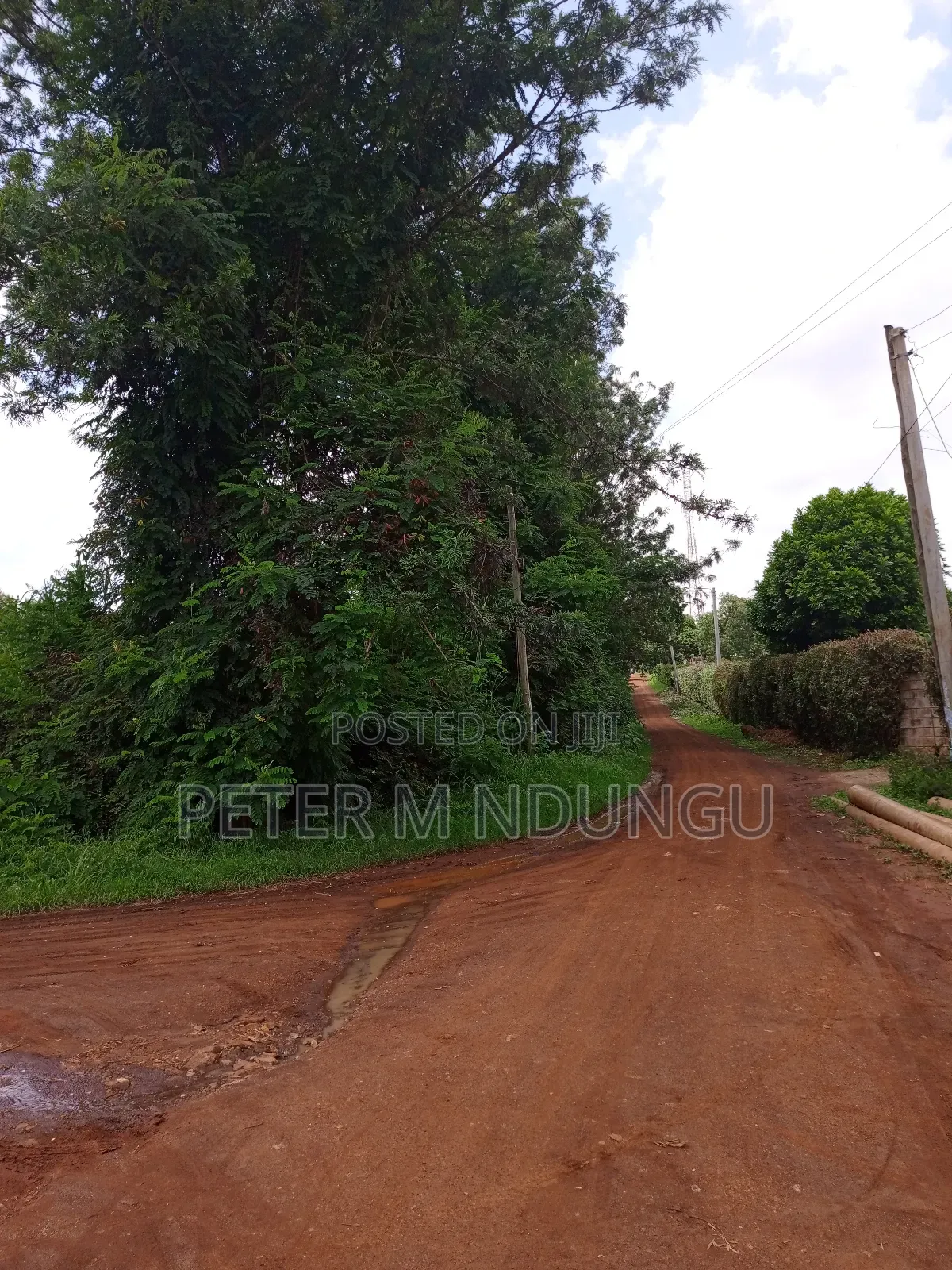 Thindigua Prime 2.25 Acres