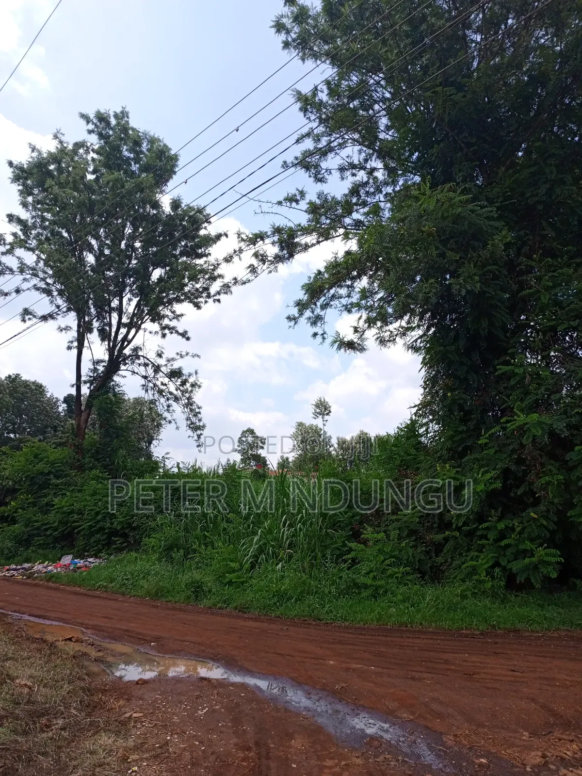 Thindigua Prime 2.25 Acres