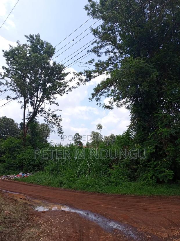 Thindigua Prime 2.25 Acres - thumbnail 7