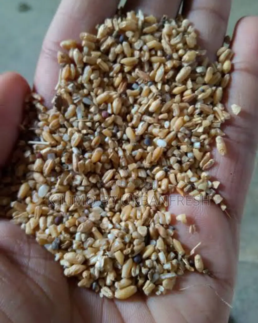 Broken Wheat for Animal Feed 25kg