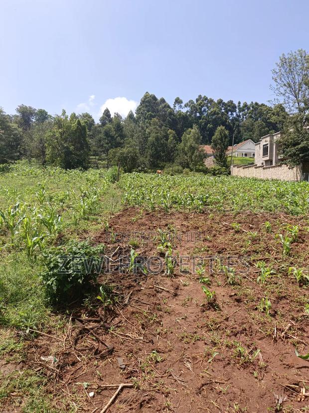 One Acre Kerarapon - thumbnail 3