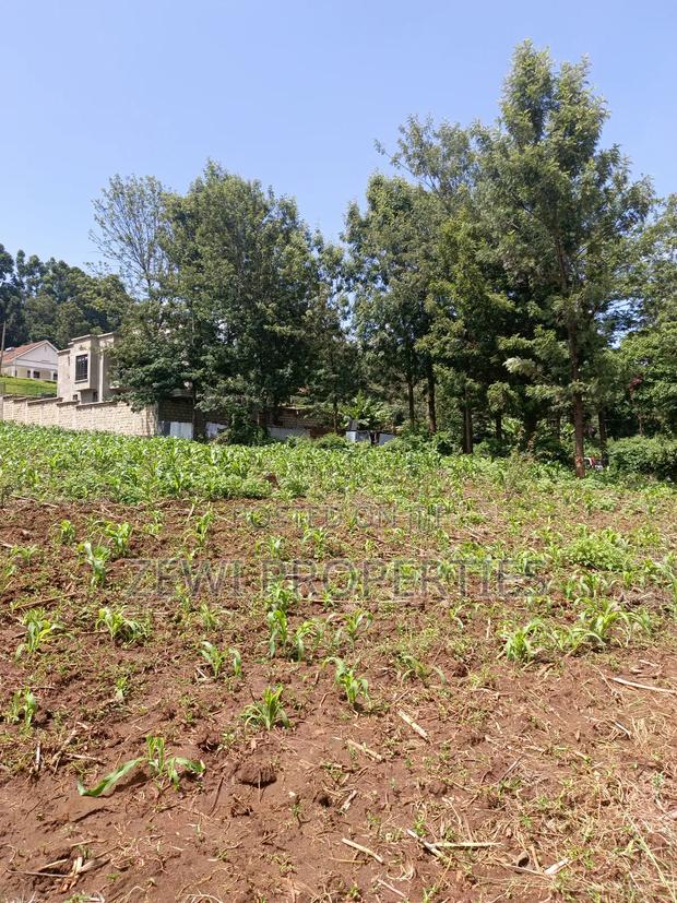 One Acre Kerarapon - thumbnail 4