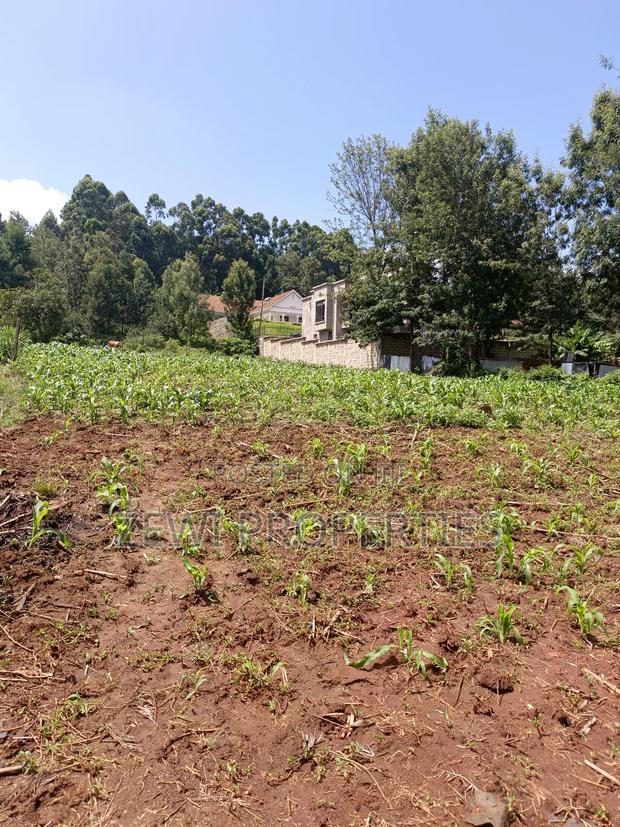 One Acre Kerarapon - thumbnail 5