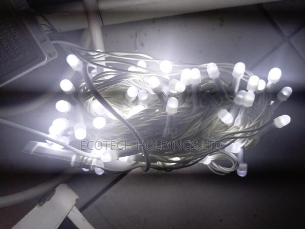 10mtrs Medium White Christmas Lights - main view