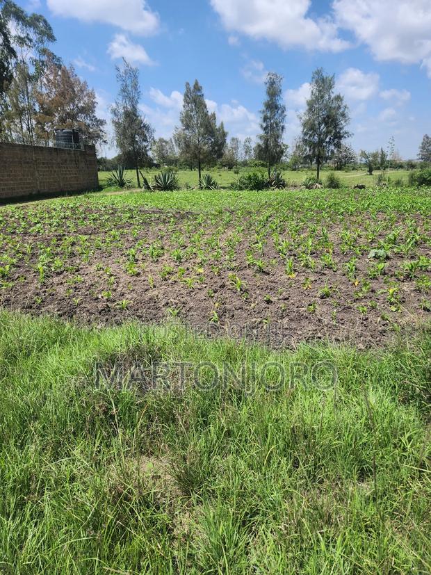 50 by 100 Kigajo Thika - main view