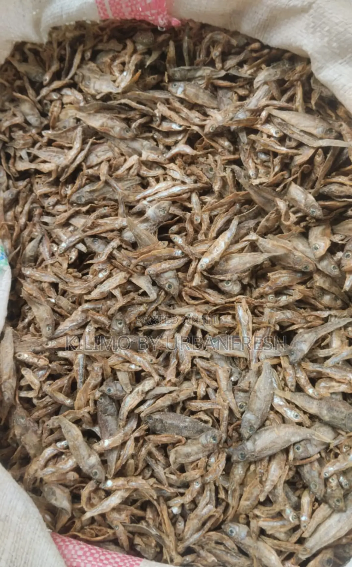 Omena Milled Packed in 70kg Sacks