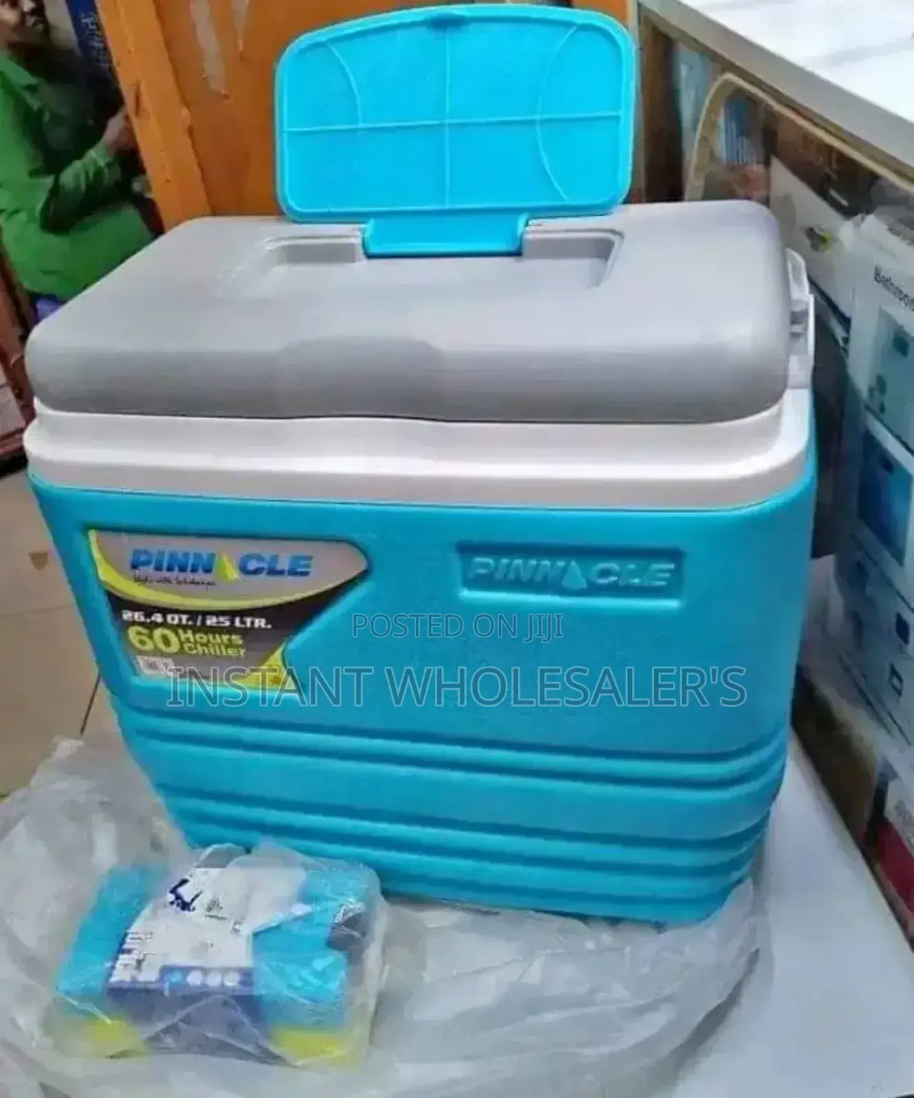 25litre COOLER BOX+Ice Bricks