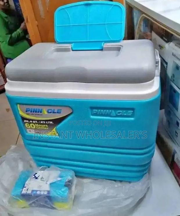 25litre COOLER BOX+Ice Bricks