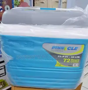 Assorted 32 Litres Cooler Box