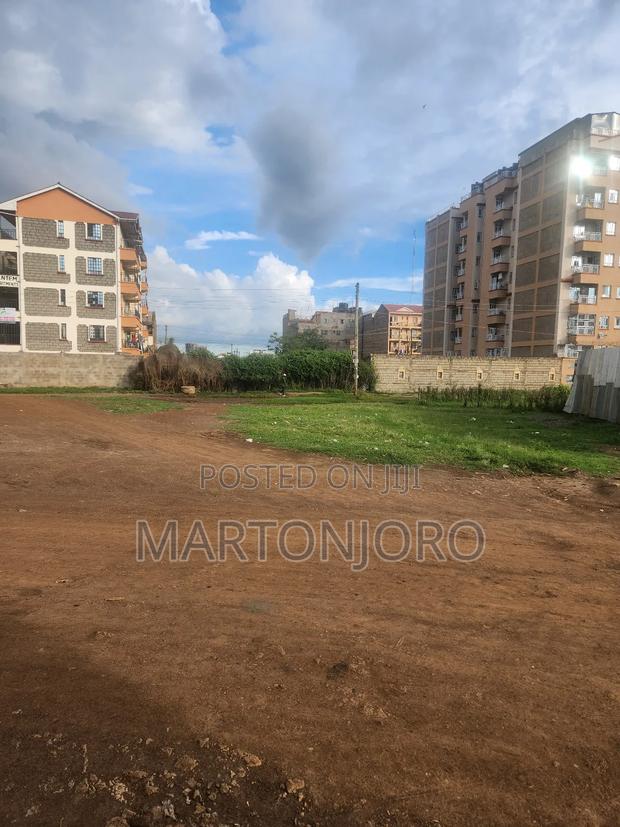 Kihunguro Ruiru Commercial Plots - main view