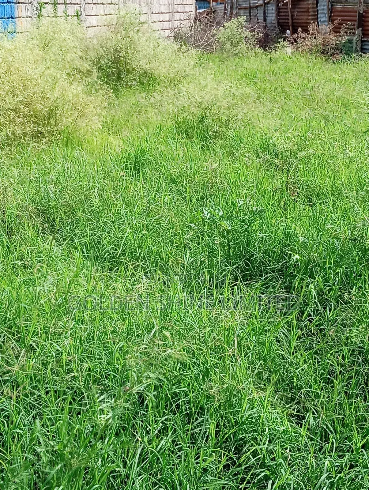 Grass Cutting and Flower Trimmings