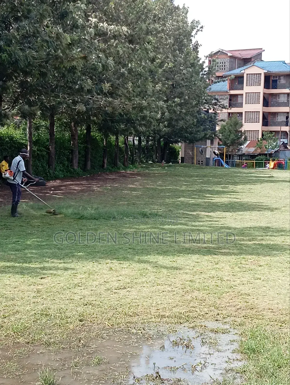 Grass Cutting and Flower Trimmings