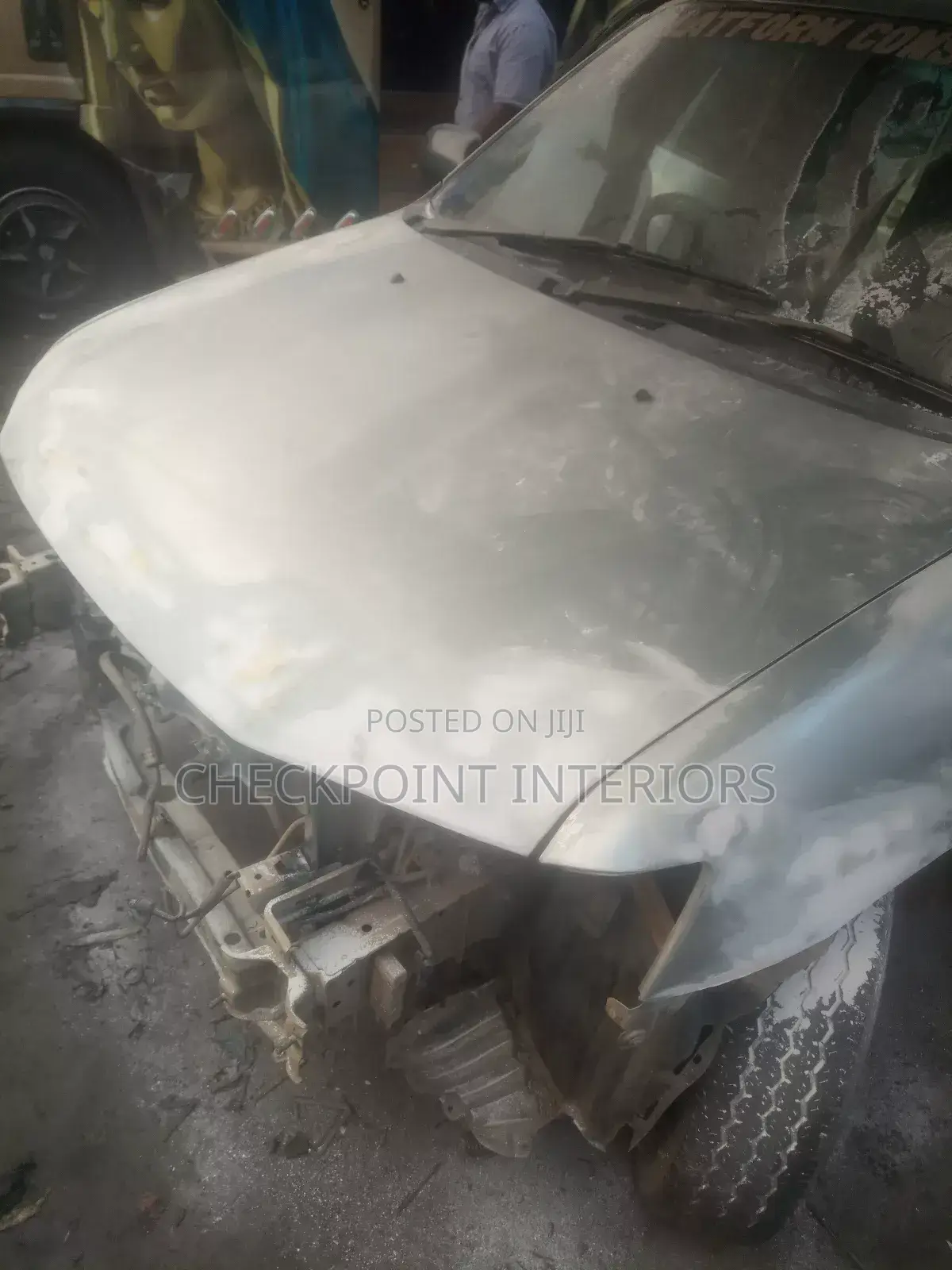 Professional Auto and Home Painter