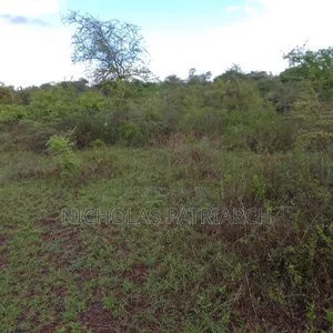 1 Acre Masii Located 500m From Tarmac at 1.1m