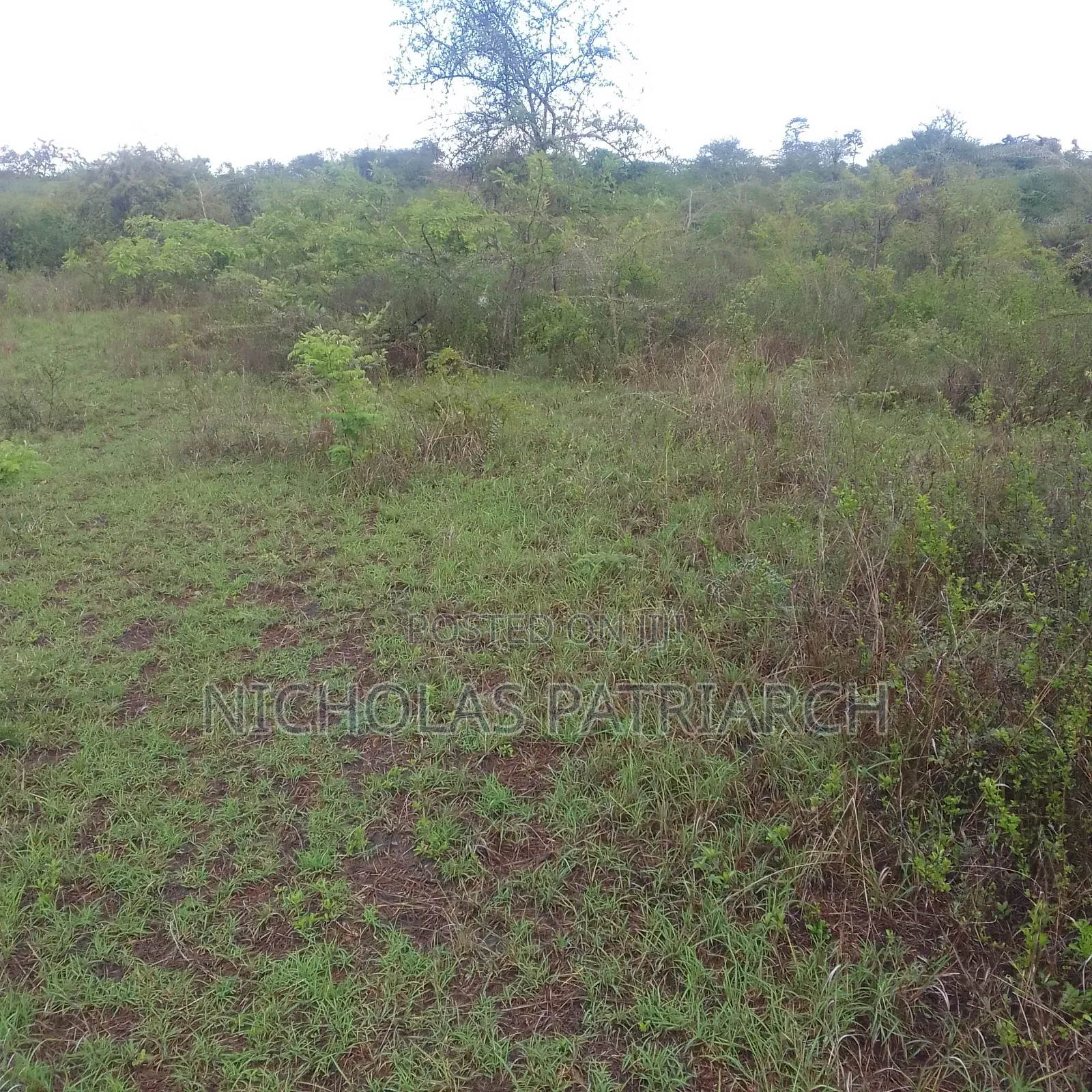 1 Acre Masii Located 500m From Tarmac at 1.1m