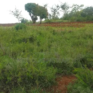 2 Acres at Machakos-Mikuyu Selling at 2.1m Per Acre